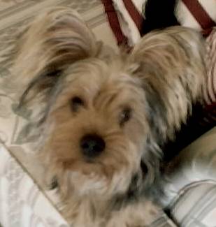 taz2_0005.jpg